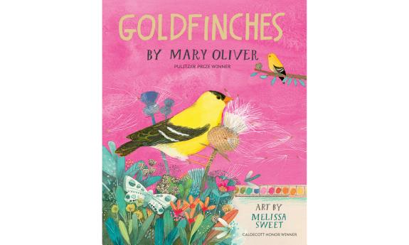 Cover of Goldfinches